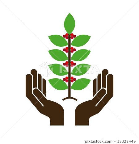 Coffee design over white background vector illustration Coffee design over white background vector illustration 15322449