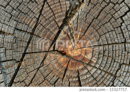old wood texture background circle 15327757
