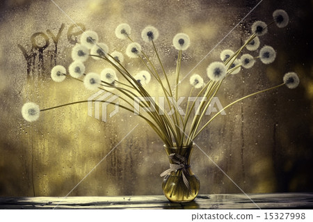 dandelions in white vase on the window dandelions in white vase on the window 15327998