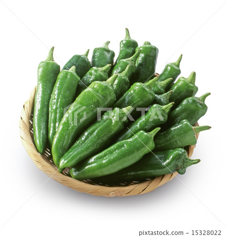 green pepper 15328022