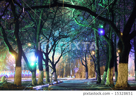 Night city park lights 15328651