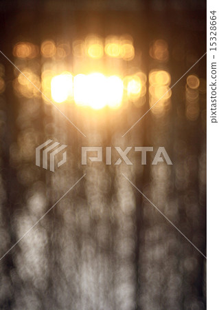 bokeh blurred background forest bokeh blurred background forest 15328664