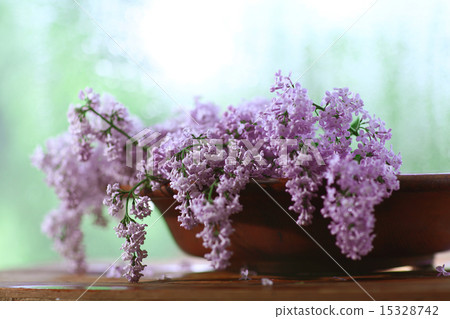 lilac flowers macro background 15328742
