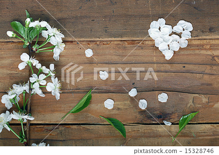 cherry flowers and twigs on a wooden background 15328746