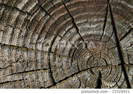 old wood texture background circle 15328931