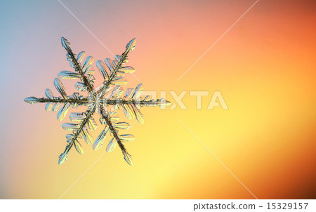 macro snowflake ice crystals present natural 15329157