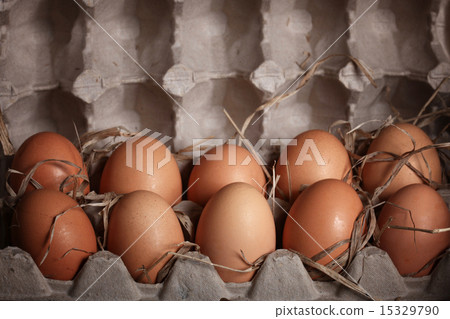 chicken eggs on the farm chicken eggs on the farm 15329790