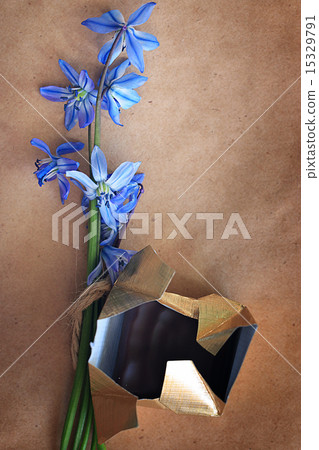 small blue flowers chocolate small blue flowers chocolate 15329791