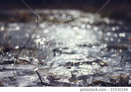 branches without leaves spring reflections river 15330194