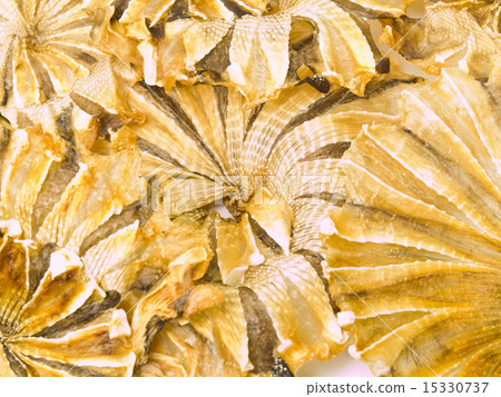 Round dried fishes from Thailand as background 15330737