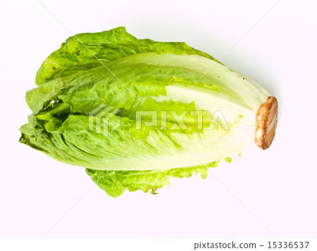 Fresh cos salad isolated on white background Fresh cos salad isolated on white background 15336537