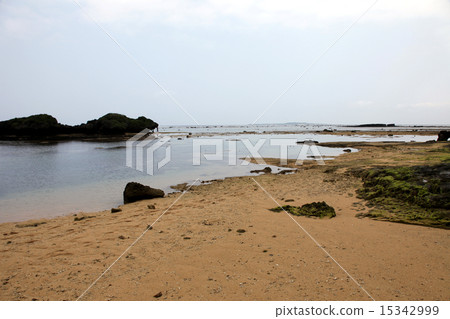 Iriomote Island _ star beach 15342999
