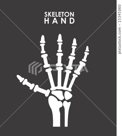 x rays design x rays design 15345860