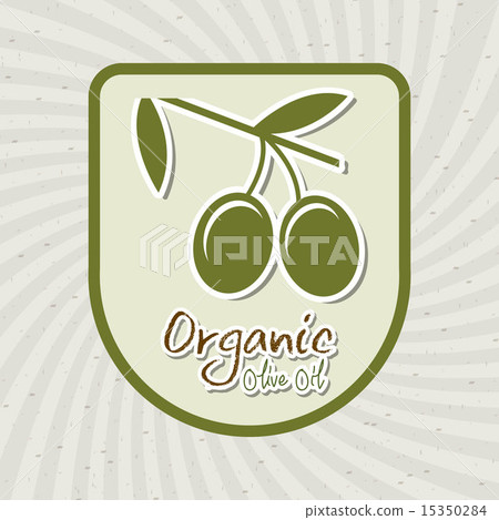 eco design over gray background vector illustration eco design over gray background vector illustration 15350284