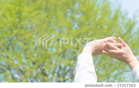 New green season New green season 15357163