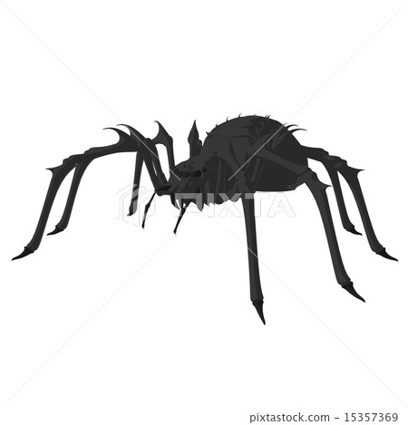 Spider Art Illustration 15357369