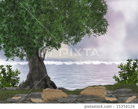 Ocean Rocks Background 15358128