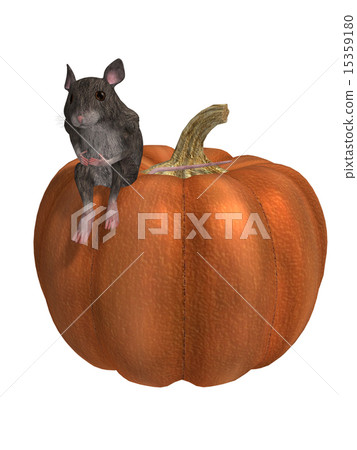 Mouse On A Pumpkin 15359180