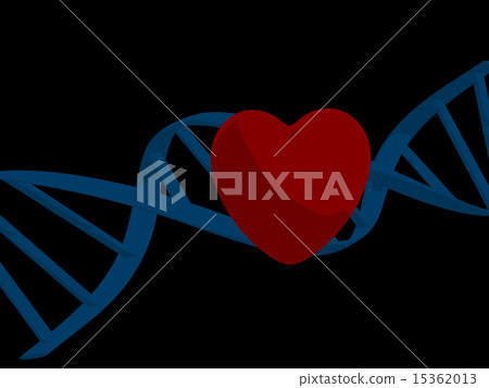Dna & Heart Dna & Heart 15362013