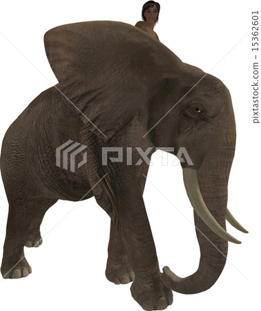 Boy On An Elephant 15362601