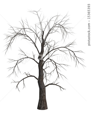 Dead Tree 15365393