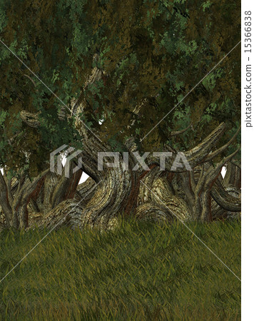 Outdoor Forest Background Outdoor Forest Background 15366838