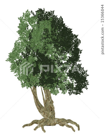 One Big Tree One Big Tree 15366844