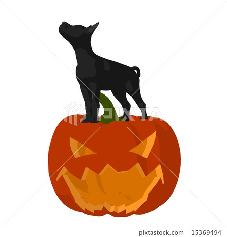 Halloween Dog Illustration Halloween Dog Illustration 15369494