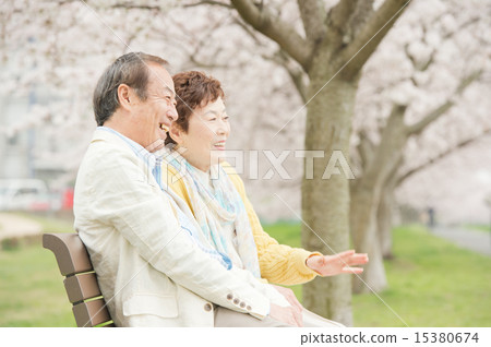 高級和櫻花 15380674