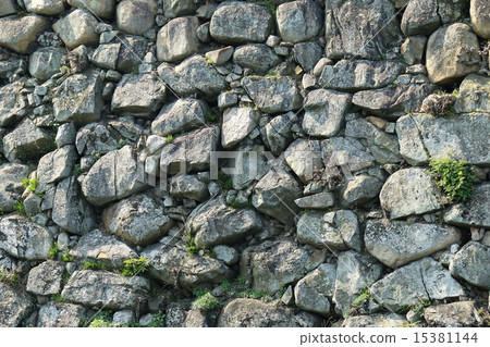 The castle wall 15381144