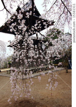 Tianzhi Temple 15381311
