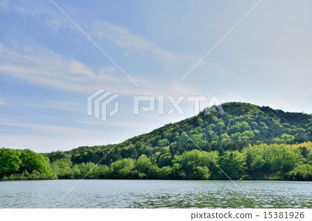 景觀與水和綠葉 15381926