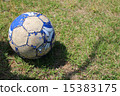 足球在公園裡（側身） 15383175