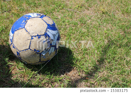 足球在公園裡（側身） 15383175