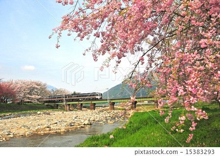 Takayama mainline spring 15383293