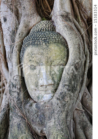 Head of Sandstone Buddha in Thailand Head of Sandstone Buddha in Thailand 15383314