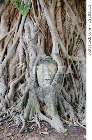 Head of Sandstone Buddha in Thailand Head of Sandstone Buddha in Thailand 15383315
