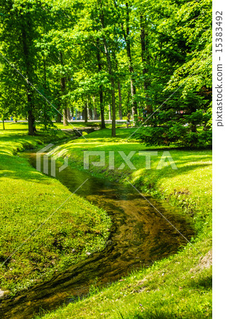 Park in Peterhof, Russia 15383492