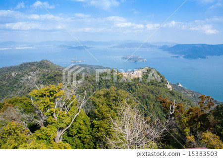 Miyama no Miyama Miyama no Miyama 15383503