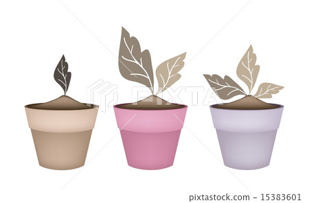 Three Abstract Brown Trees in Flower Pots 15383601