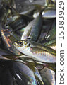 A lot of fresh asi 15383929