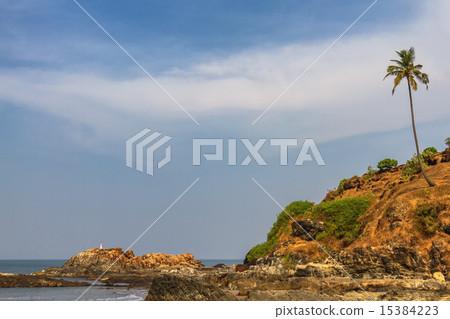 Rock on the GOA beach 15384223