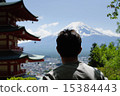 Is this Mt. Fuji? 15384443
