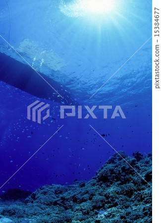 從水下仰望珊瑚和魚的潛水船 15384677