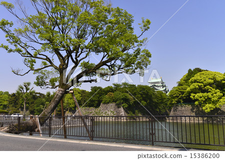 Moat and Nagoya Castle Moat and Nagoya Castle 15386200