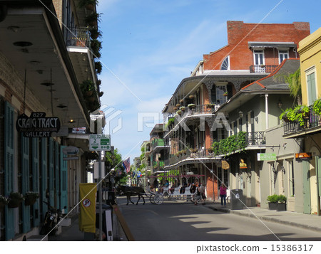 New Orleans Snap 15386317
