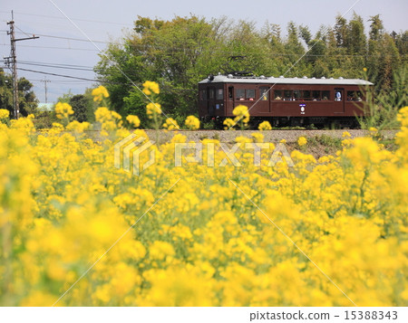 Uehara Electric Railway Desha 101 15388343