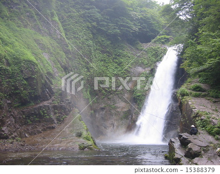 Akiho Otaki Akiho Otaki 15388379