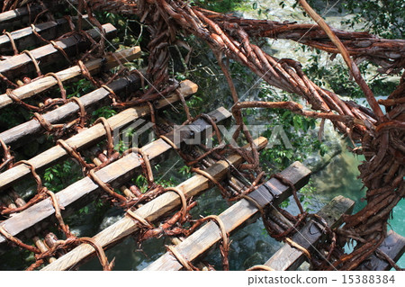 Kazura Bridge 15388384