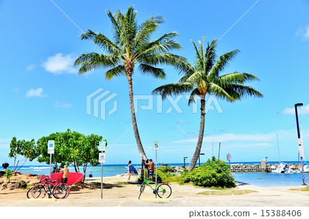 Holidays in Hawaii Holidays in Hawaii 15388406